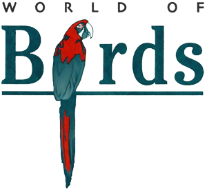 World of Birds